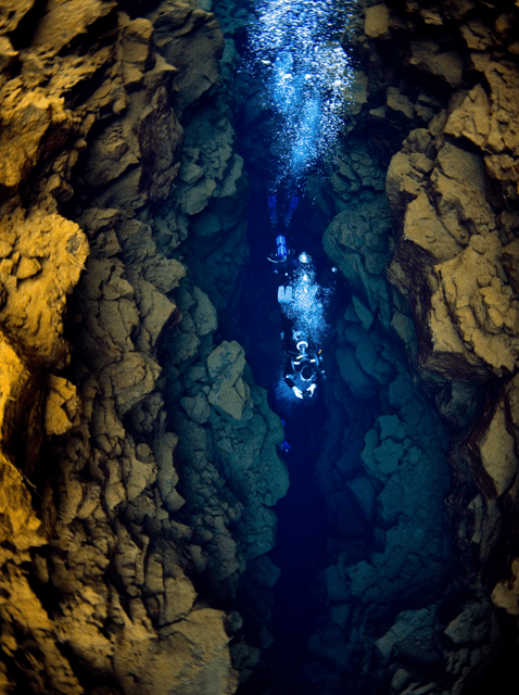 Thingvellir: Silfra Fissure Diving with Optional Pickup - Dry suit rules: certification, size limits, and the practical fine print