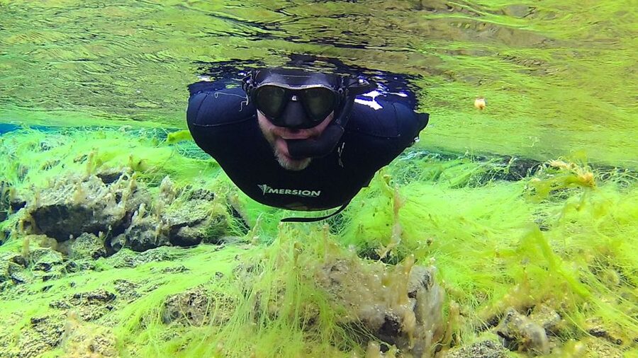 Thingvellir: Silfra Freedive Adevnture with a Guide - Where You Meet, and How the 3-Hour Rhythm Works