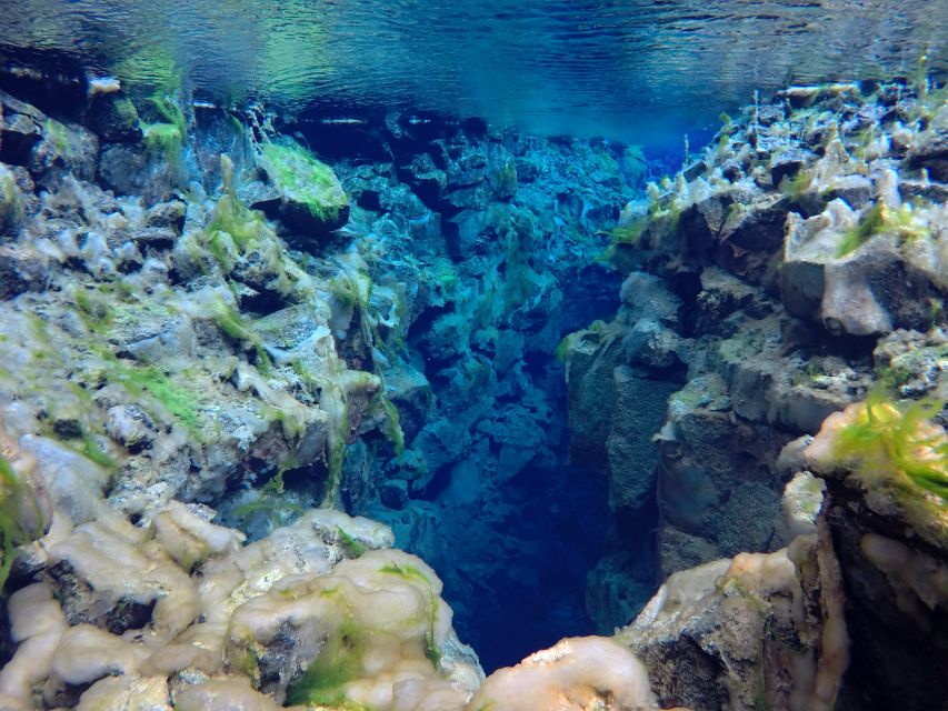 Thingvellir: Silfra Freedive Adevnture with a Guide - Swimming Between Plates, Silfra’s Main Event