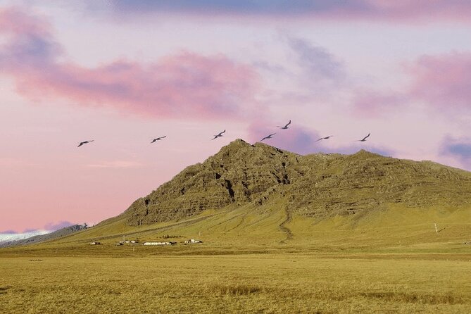 Tour from Djúpivogur for up to 6 persons - Price and What You’re Really Paying For