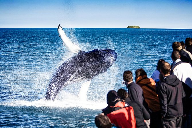 Traditional Oak Ship Whale Watching Tour From Husavik - What You Wear on the Water: Overalls, Rain Gear, and Shoes