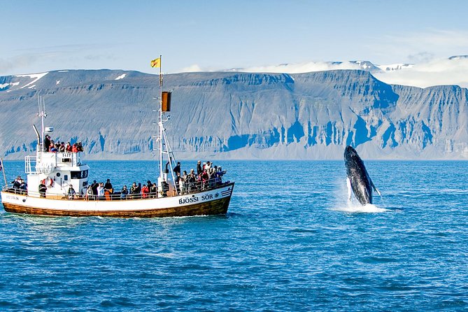 Traditional Oak Ship Whale Watching Tour From Husavik - Learning On Board: What the Guides Explain (and Why It Helps)