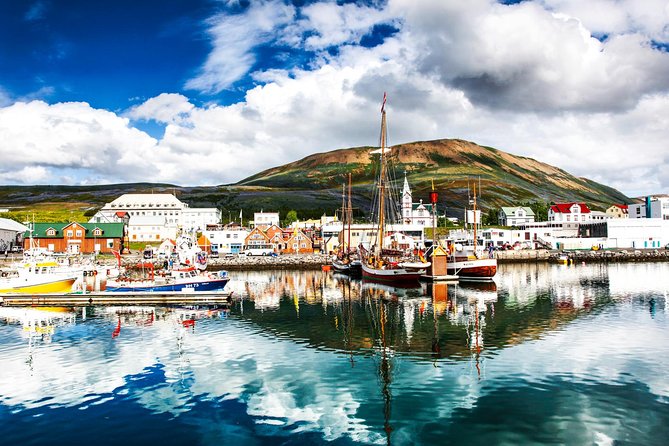 Traditional Oak Ship Whale Watching Tour From Husavik - Value Check: Is $118.56 Worth It in Husavík?