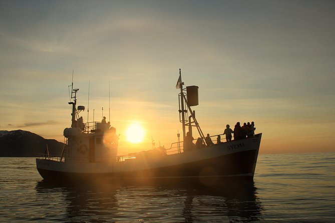 Traditional Whale Watching from Húsavík by Local Family Company - Crowds, comfort, and how to get your best photos
