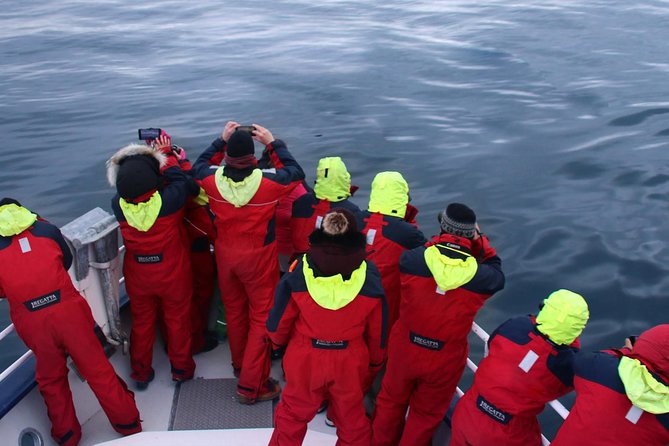 Two-In-One: Whale & Puffin Watching Tours from Reykjavik - Onboard Comfort: Heated Saloon, Protective Gear, and WiFi