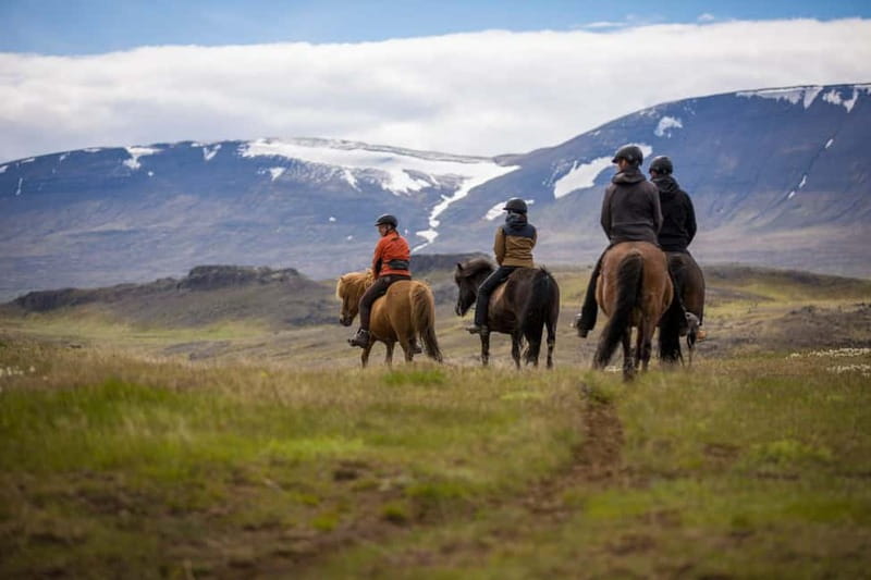 Varmahlid: Viking Horse Riding Tour - Key highlights worth your attention