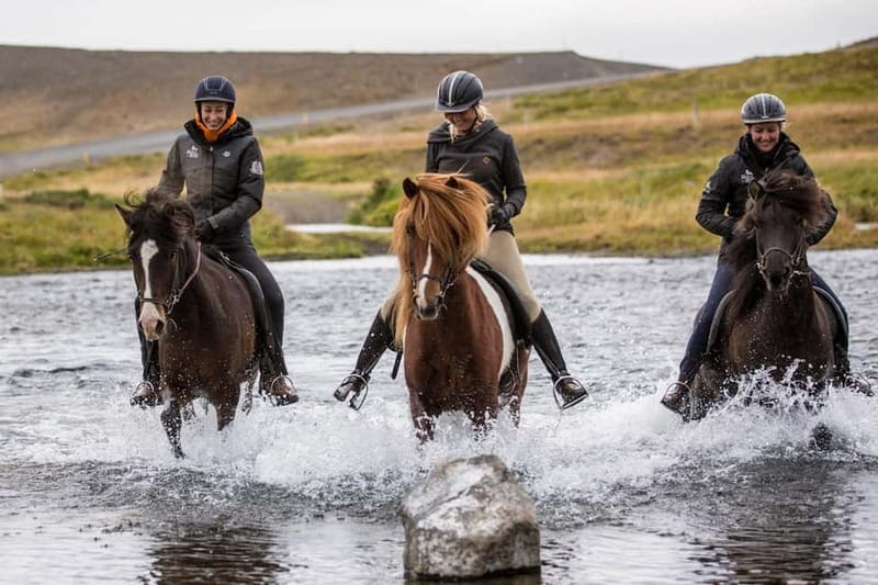 Varmahlid: Viking Horse Riding Tour - From Hestasport Reception to your mount in Varmahlíð