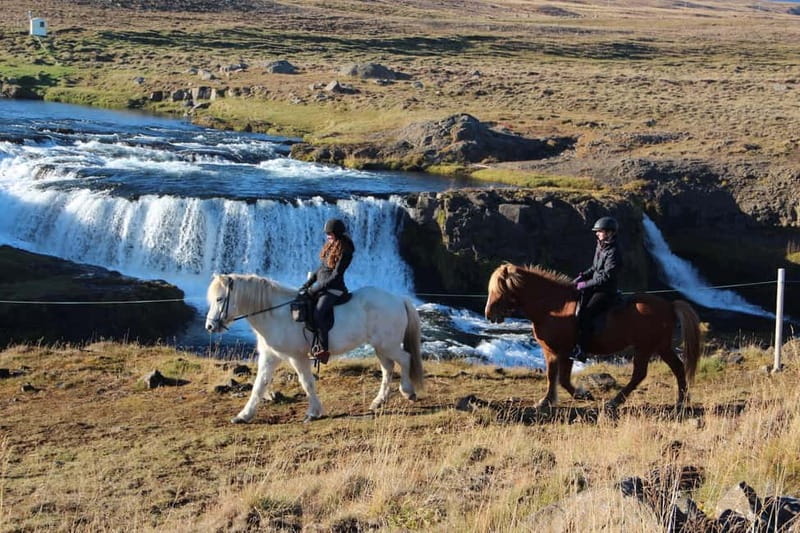 Varmahlid: Viking Horse Riding Tour - Following the Svartá River and hillside track with fjord country views