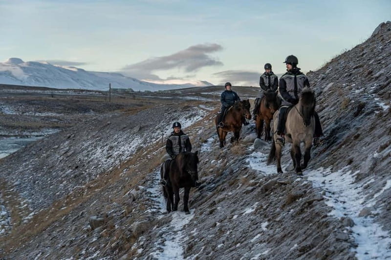 Varmahlid: Viking Horse Riding Tour - Safety and comfort: how the guides make first-time riding work