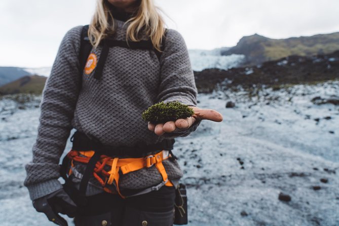 Vatnajökull Guided Beginner Glacier Walk with 4x4 Transfer - Key things to know before you go