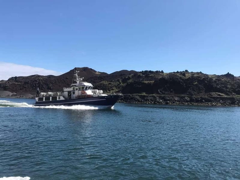 Vestmannaeyjar: Heimaey Island Round Boat Tour - Should you book the Heimaey Island Round Boat Tour?