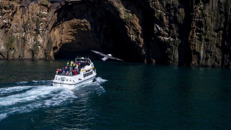 Vestmannaeyjar: Puffin, Island, and Volcano Boat Tour - Key highlights at a glance