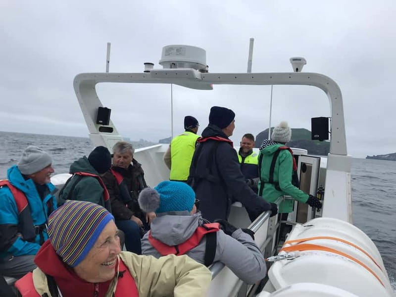 Vestmannaeyjar: Puffin, Island, and Volcano Boat Tour - Setting Sail in Vestmannaeyjar, and Why This Route Feels Efficient