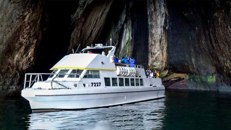 Vestmannaeyjar: Puffin, Island, and Volcano Boat Tour - Price and Value: Is $96 Worth a One-Hour Tour?