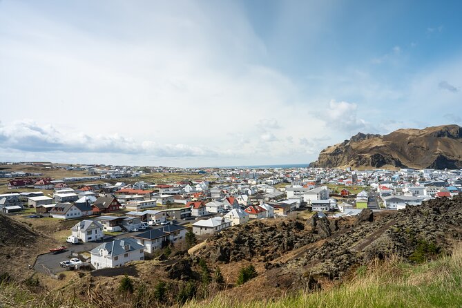 Vestmannaeyjar, Puffins & Volcanoes Small Group Day Tour - Optional wildlife add-ons like beluga viewing