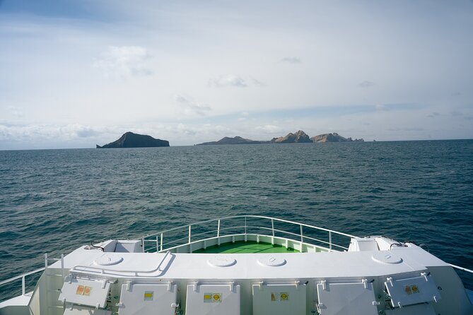 Vestmannaeyjar, Puffins & Volcanoes Small Group Day Tour - Puffins on Heimaey: the best “wow” is close and practical