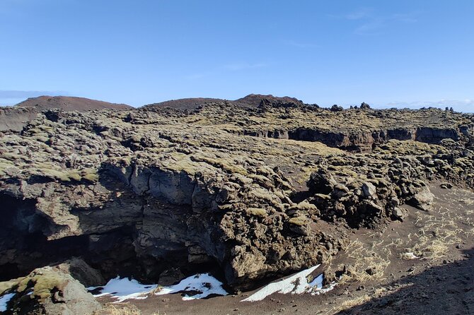 Volcanic Vistas & Puffin Paradise ATV Tour - Price and value: what $216.02 buys you on Heimaey