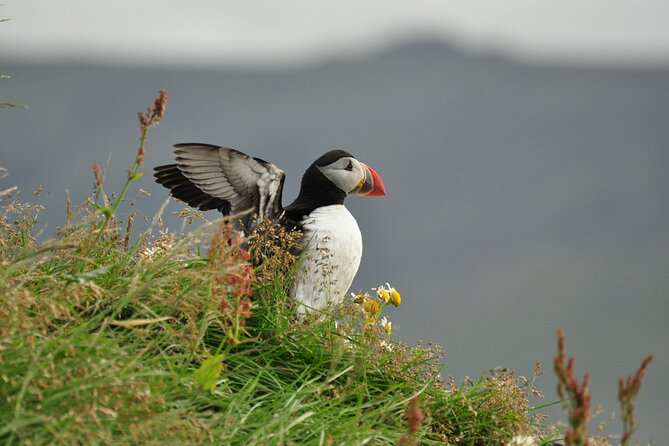 Volcanic Vistas & Puffin Paradise ATV Tour - Getting started at Strandvegur 65 and suiting up fast