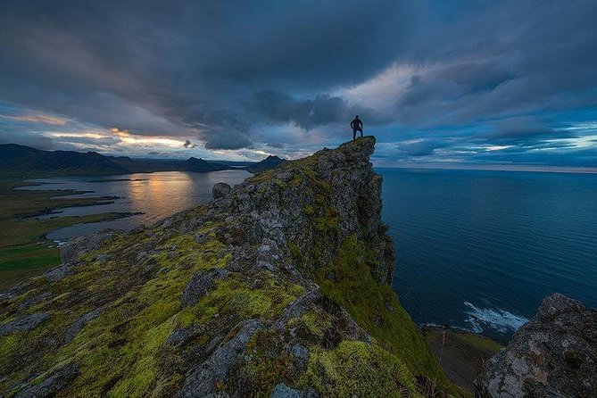 Westfjords Strandir - Private - Wildlife Chances, Season Matters, and You Should Not Chase Guarantees