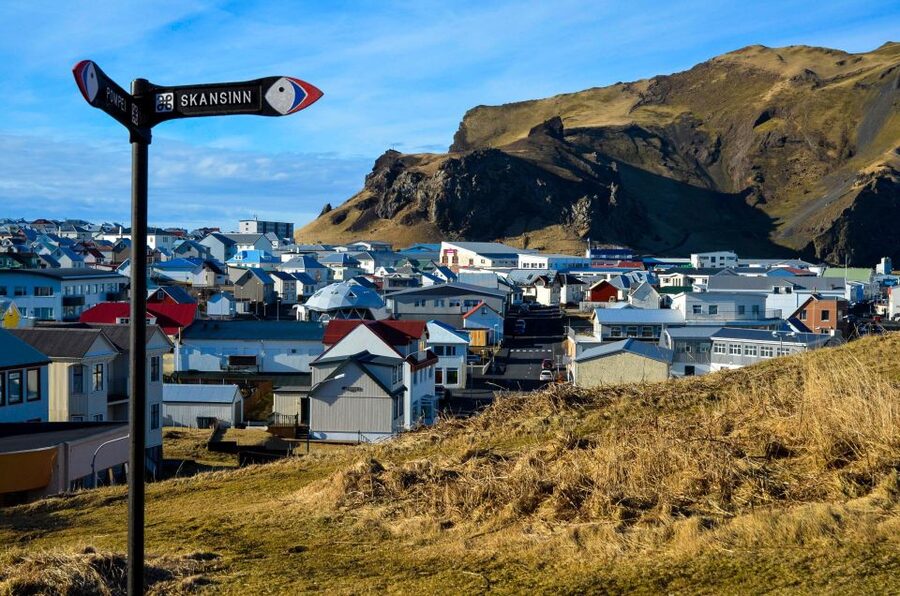 Westman Islands Day Tour from Reykjavik - Who This Westman Islands Tour Fits Best