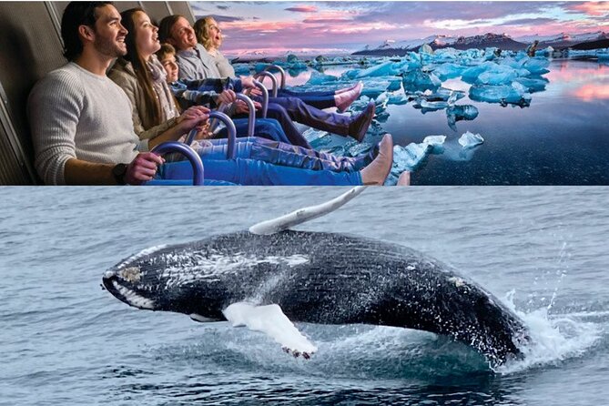 Whale Watching And Fly Over Iceland Guided Tour - Faxafloi Bay: why this Reykjavik start is so appealing