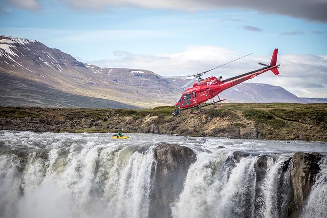Whale Watching And Fly Over Iceland Guided Tour - Price and value: is $146 worth it in real life?