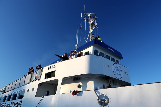 Whale Watching and Marine Life Tour in Reykjavik - Uploading Live Photos, and Using Wi-Fi Without Stress