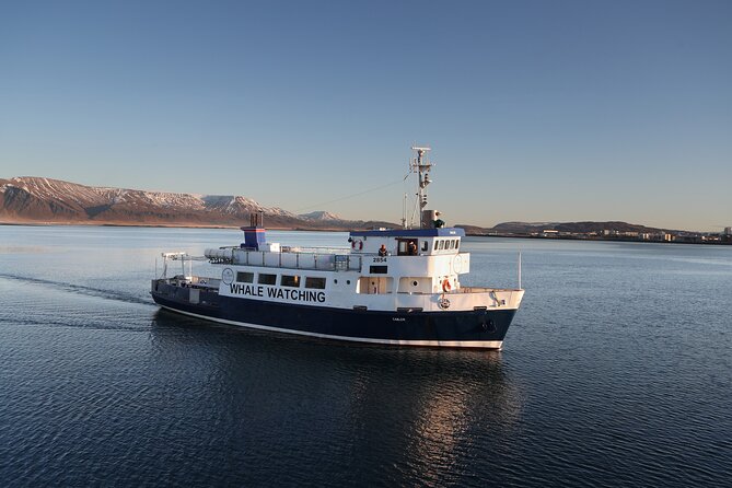 Whale Watching and Marine Life Tour in Reykjavik - Old Harbour House to the Bay, and the First Views of Reykjavik