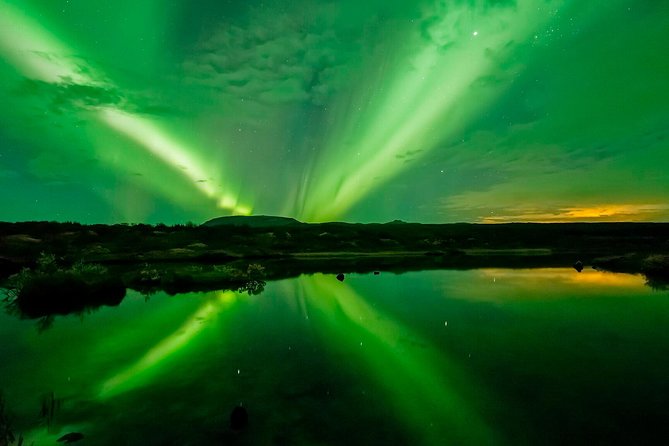 Whale Watching and Northern Lights Half-Day Combo Tour - Northern lights in Reykjavik: what the evening portion feels like