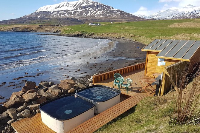 Whale Watching and Sea Angling Tour - The best time to book this: weather matters and Iceland plays by its own rules