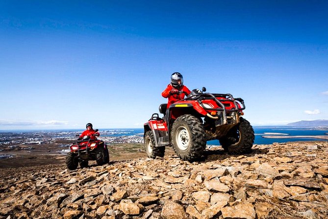 Whale Watching & ATV Adventure from Reykjavik - Price and value: what $329.74 buys you here