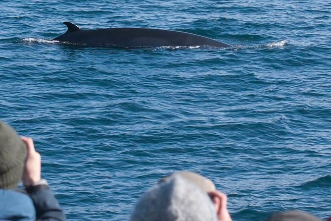Whale Watching & ATV Adventure from Reykjavik - The 1-hour ATV ride: training, gear, and big views off the fell