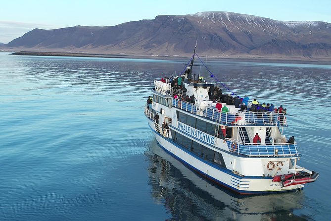 Whale-Watching Boat Tour with Expert Guide from Reykjavik - Thermal overalls and heated cabins: the comfort factor that matters