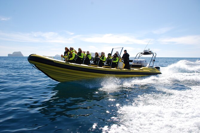Whale Watching by RIB Speedboat from Downtown Reykjavik - Island Circuit Time: Engey, Lundey, and Viðey