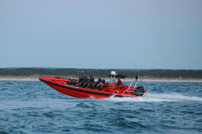 Whale Watching by RIB Speedboat from Downtown Reykjavik - The Hunt Strategy: How Small Groups Boost Your Odds