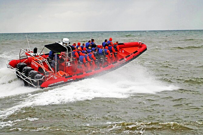 Whale Watching by RIB Speedboat from Downtown Reykjavik - Meeting at Old Harbour House, Then a Quick Reykjavik Warm-Up