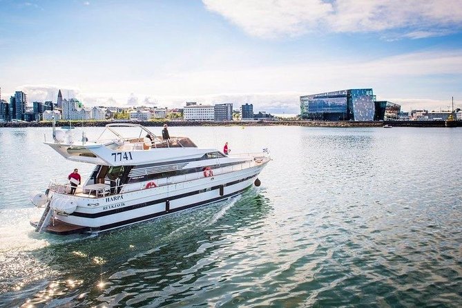 Whale Watching & Dolphin Yacht Cruise - Key Highlights You Should Know