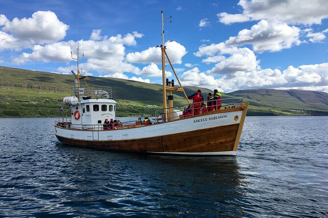 Whale Watching from Akureyri Port - How the Akureyri Port pickup works (and what to watch for)