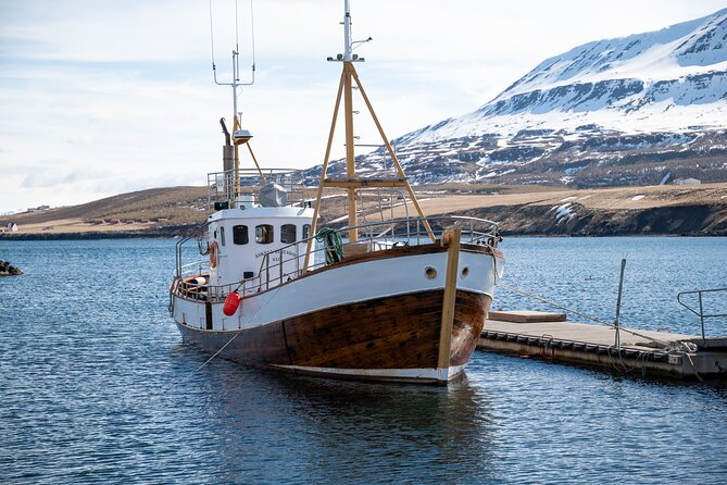 Whale Watching from Akureyri Port - Return to Akureyri: a short coastal drive on Eyjafjörður