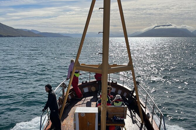 Whale Watching from Akureyri Port - Price and value: what you get for $144.35