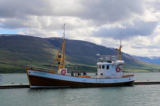 Whale Watching from Akureyri Port - The ride to Hauganes: 30 minutes that set the mood
