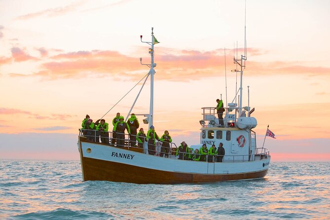 Whale Watching in Husavik - FAQ