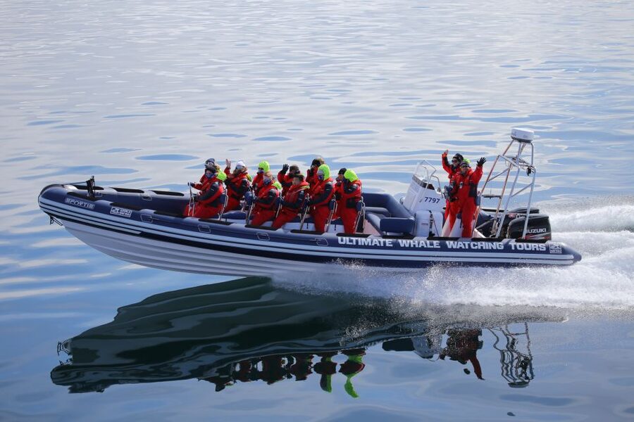 Whale Watching in Reykjavik by Speedboat - Meeting The Crew: Small Group Dynamics And Real Guidance