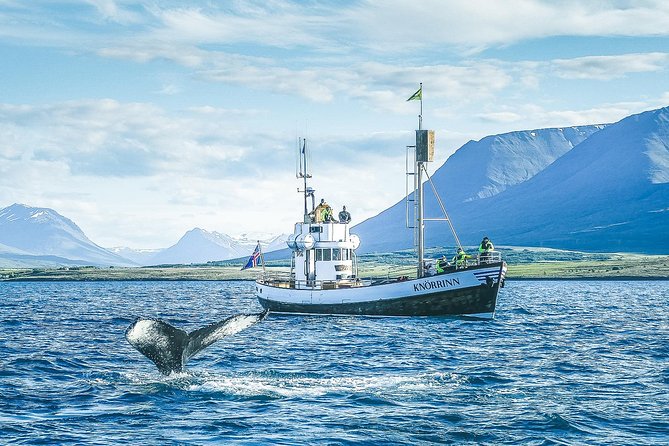 Whale Watching on board a Traditional Oak Boat from Árskógssandur - Included extras: the local discounts actually matter