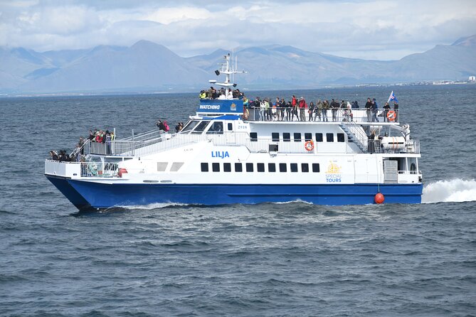 Whale Watching Tour from Akureyri City Central - From Strandgata to the fjord: what 2.5 hours feels like