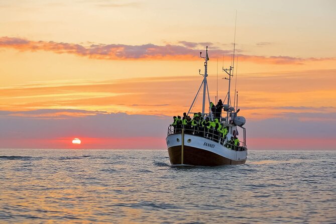 Whales and Puffins Tour from Husavik - Sailing Skjálfandi Bay for Whales and Dolphins