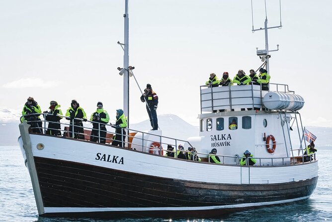 Whales and Puffins Tour from Husavik - Who This Tour Fits Best (and Who Might Skip It)