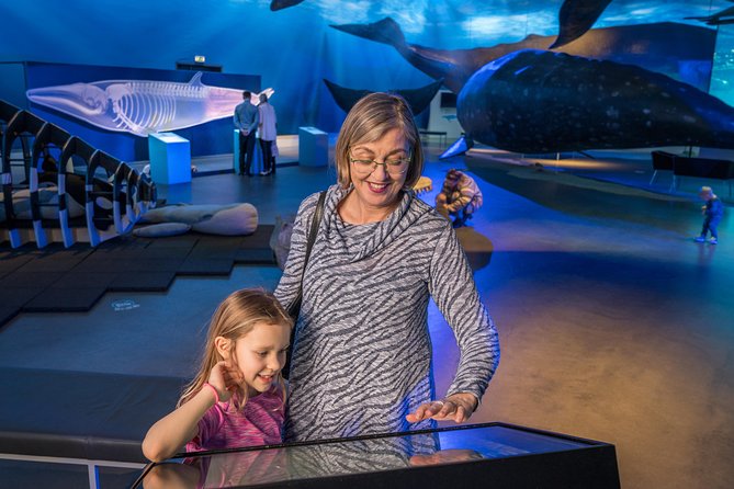 Whales Of Iceland Admission Ticket - Audio Guide in 17 Languages and the Live Tour Option