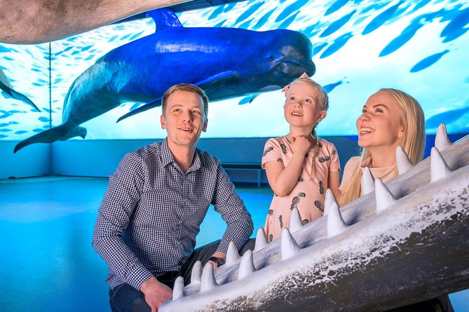 Whales Of Iceland Admission Ticket - Family-Friendly Features: Playground, Café, and the Trivia Moment