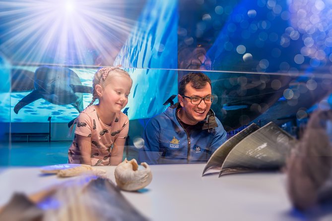 Whales Of Iceland Admission Ticket - Price and Value: Is $34.84 a Fair Deal?